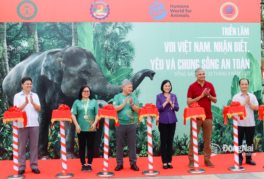 Vietnam to host Elephant Conservation Week 2025